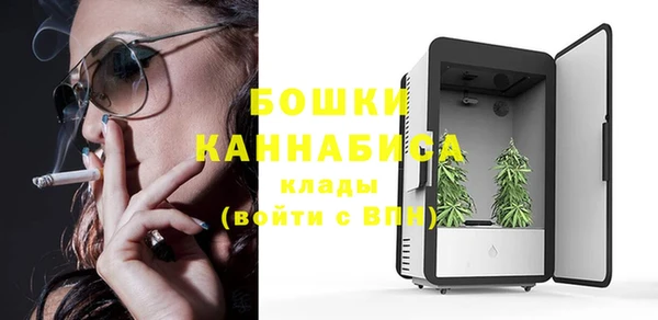 Альфа ПВП Белокуриха
